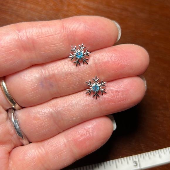 Jewelry - Silver Snowflake Earrings